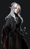 Elf in black armor